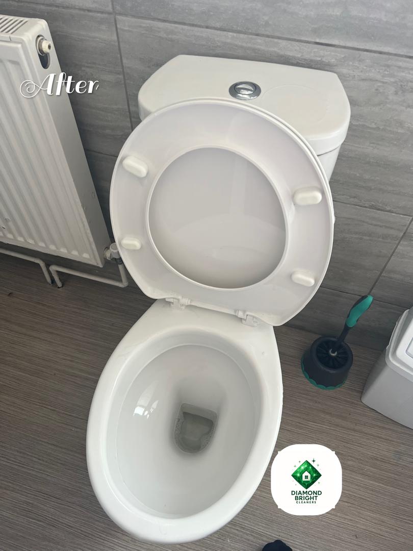 Before Staircase Cleaning